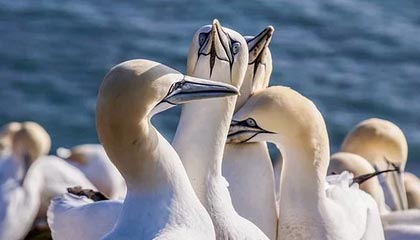 慈溪最新的高价医保个人账户余额微信查询方法分享(慈溪医保查询个人账户明细怎么查微信教程)