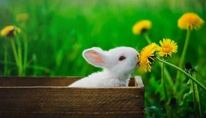 慈溪最新的高价医保个人账户余额微信查询方法分享(慈溪医保查询个人账户明细怎么查微信教程)